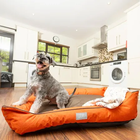 Bay אתר נופש קנמארה