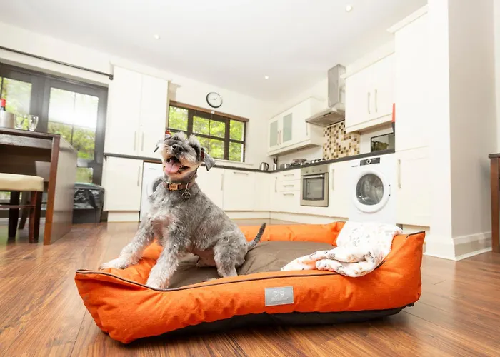 Bay Курортный комплекс Кенмар